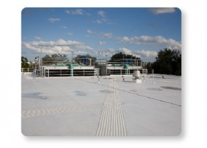 TPO Data Center Roof