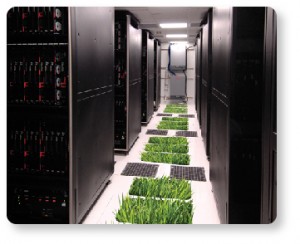 Green Data Center